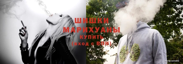 дживик Новодвинск