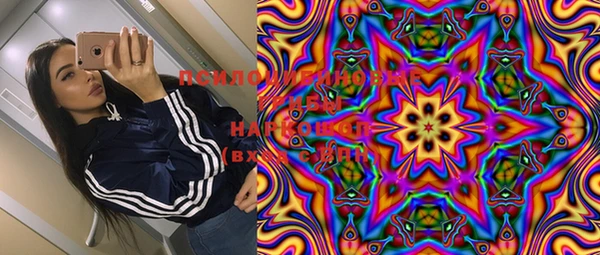 хмурый Няндома