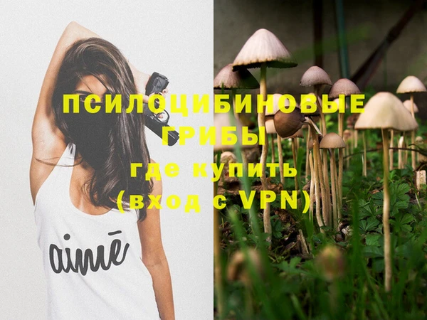 хмурый Няндома