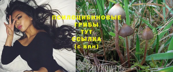хмурый Няндома