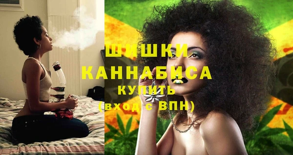 хмурый Няндома