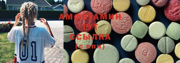 хмурый Няндома