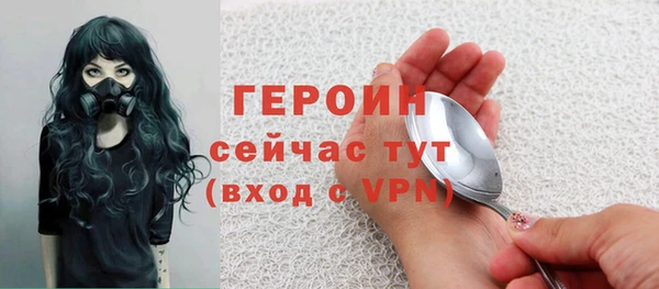хмурый Няндома