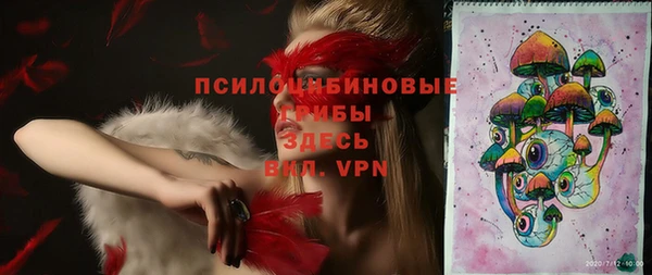 хмурый Няндома